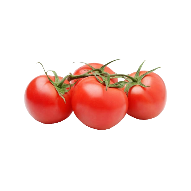 Agroecological Seeds