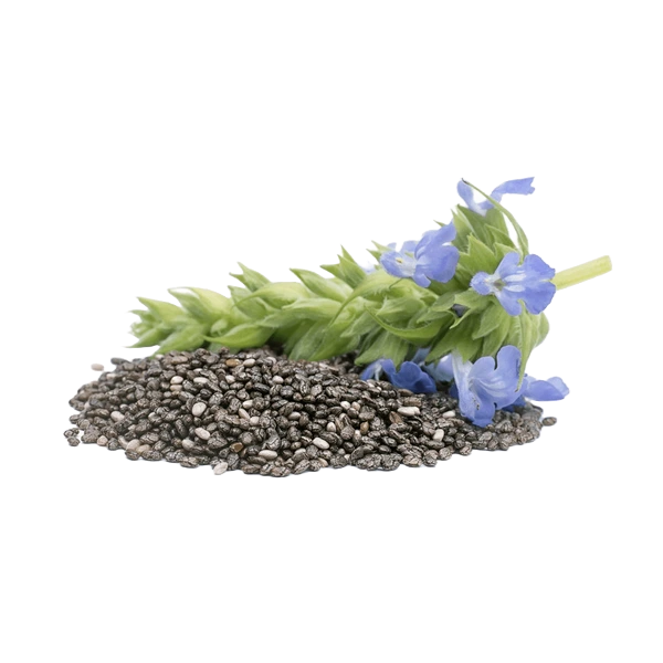 Agroecological Seeds