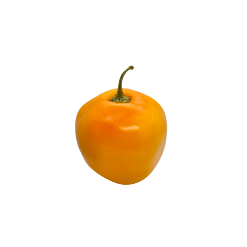 Agroecological Seeds