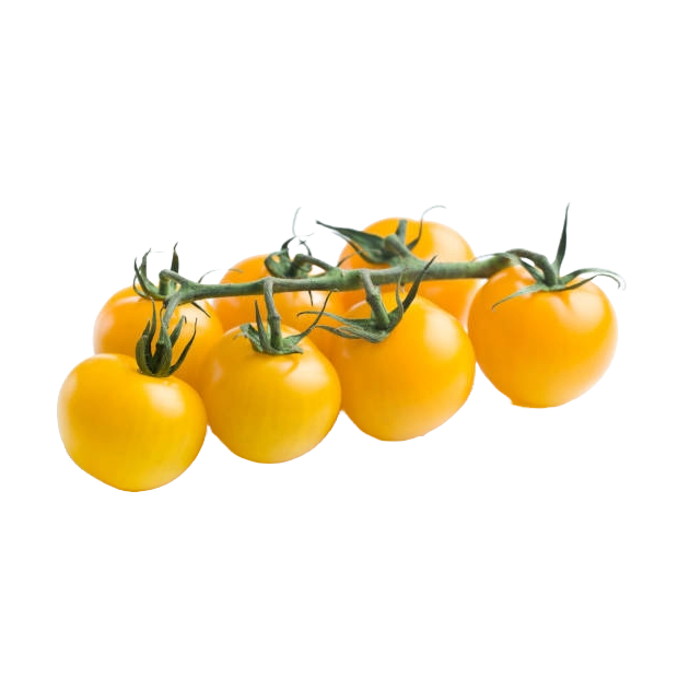 Agroecological Seeds
