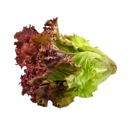 Agroecological Seeds
